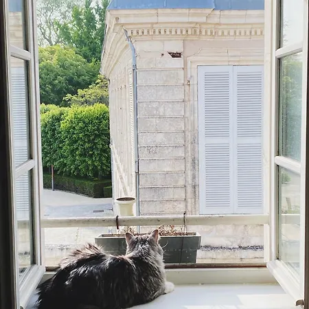 Maison En Centre Avec Piscine